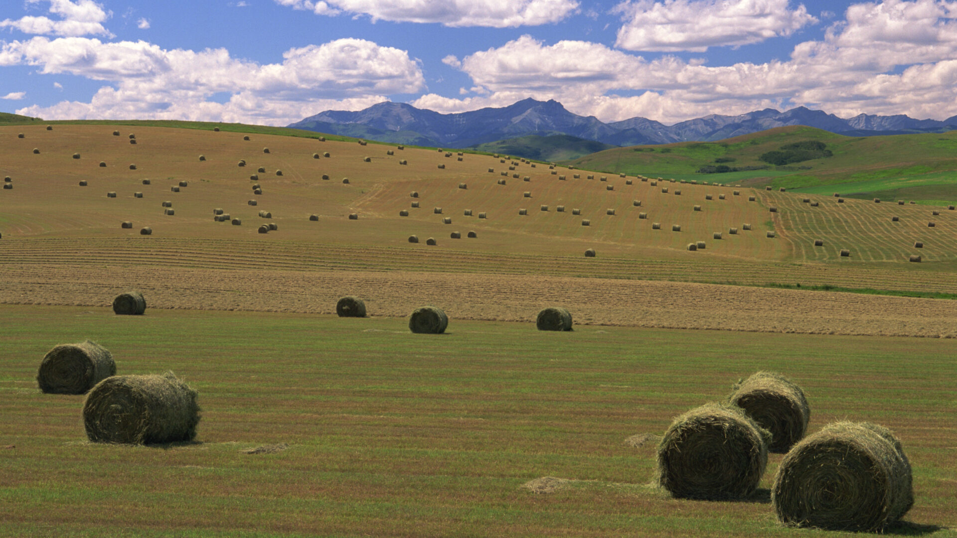 landscape image of a farmers field with hay bales and mountains in the distance. From Photos.com